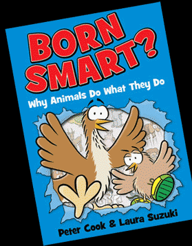 Born Smart? cover