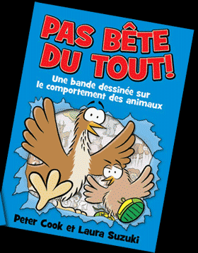 Pas bête du tout!