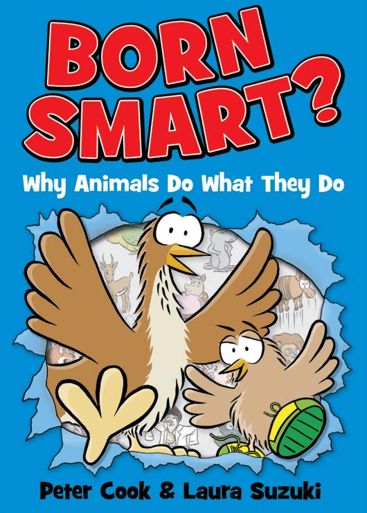 Born Smart? cover