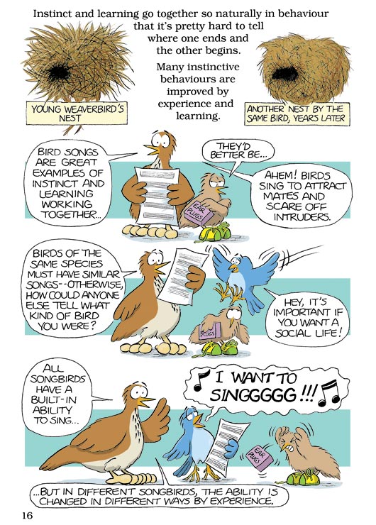 Born Smart? Page 16