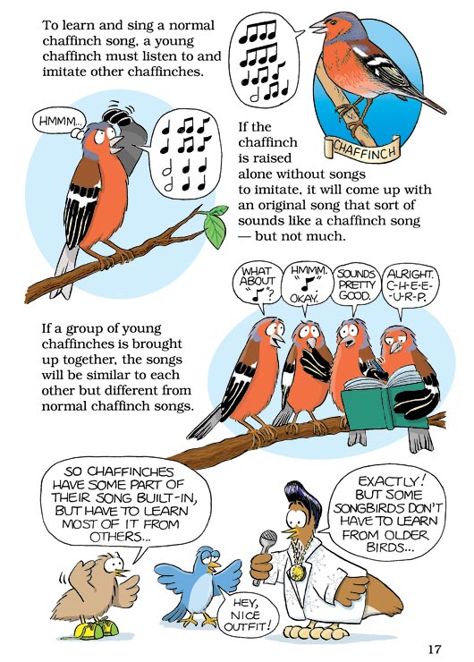 Born Smart? Page 17