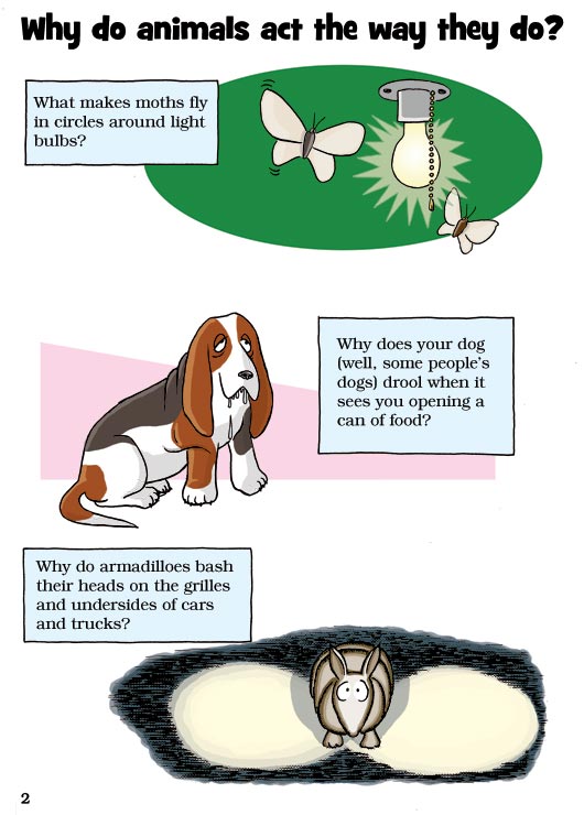 Born Smart? Page 2