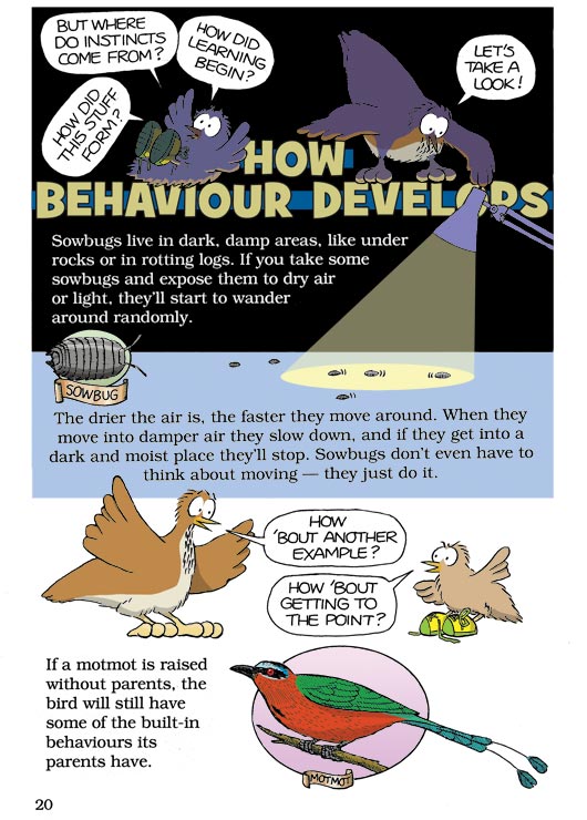 Born Smart? Page 20