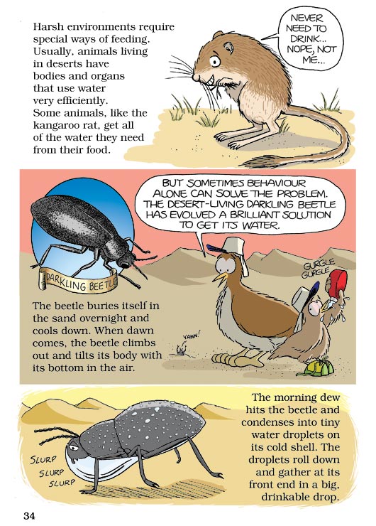 Born Smart? Page 34