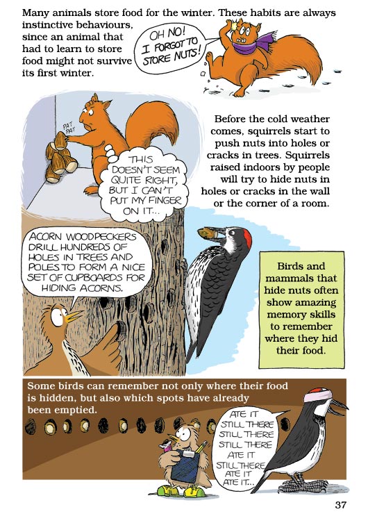 Born Smart? Page 37