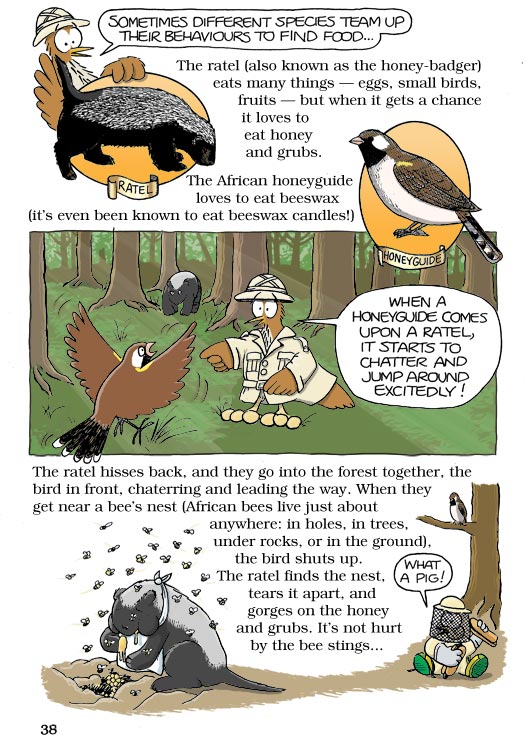 Born Smart? Page 38