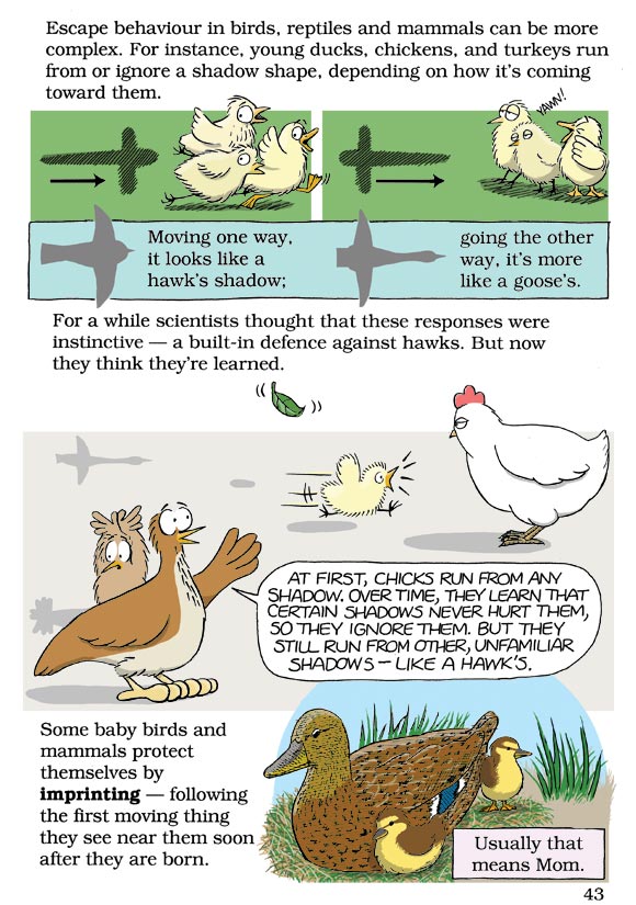 Born Smart? Page 43