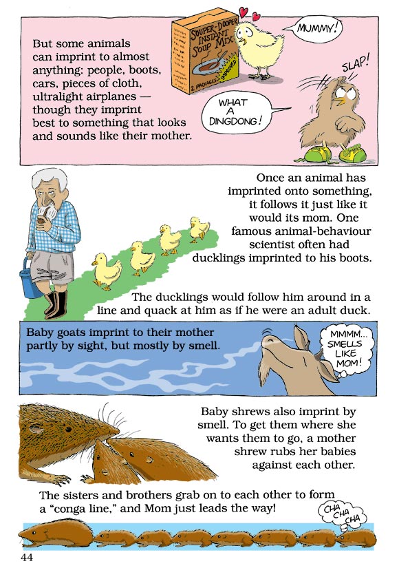 Born Smart? Page 44
