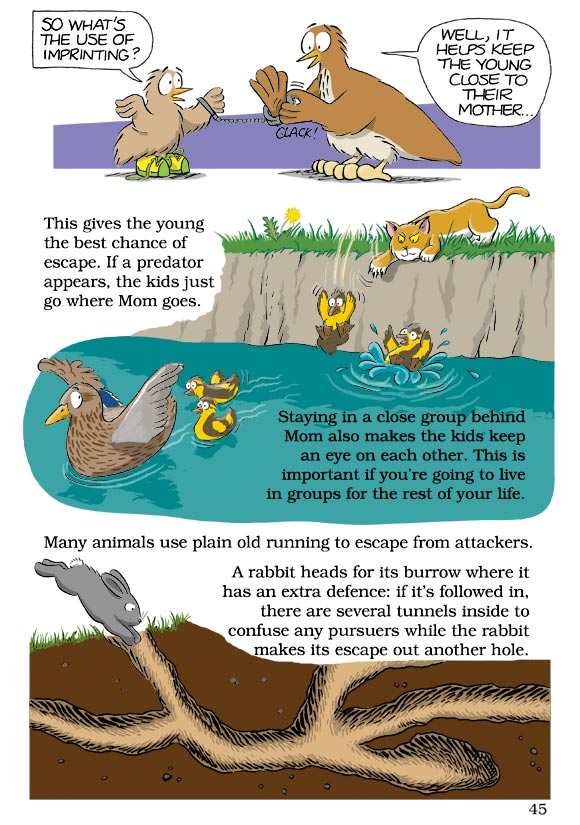 Born Smart? Page 45