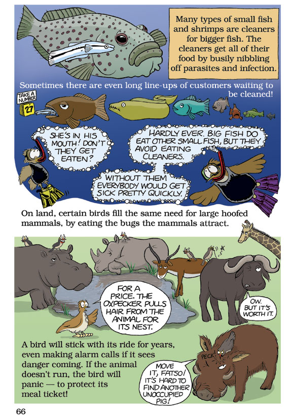 Born Smart? Page 66