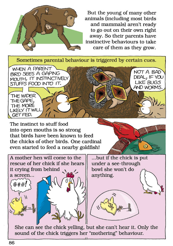 Born Smart? Page 86