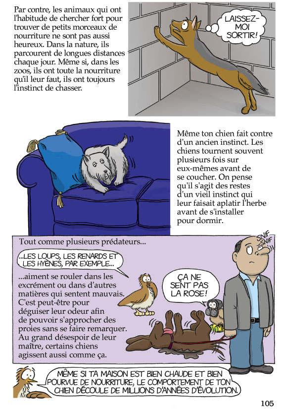 Pas bête du tout! Page 105