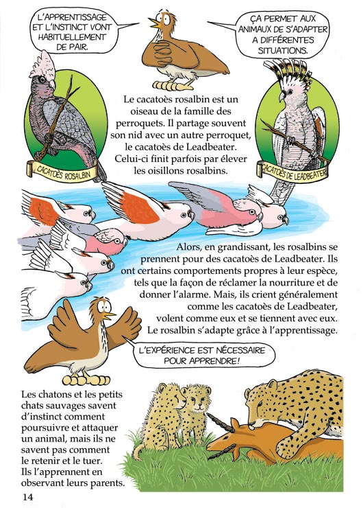 Pas bête du tout! Page 14
