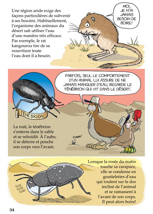 Pas bête du tout! Page 34