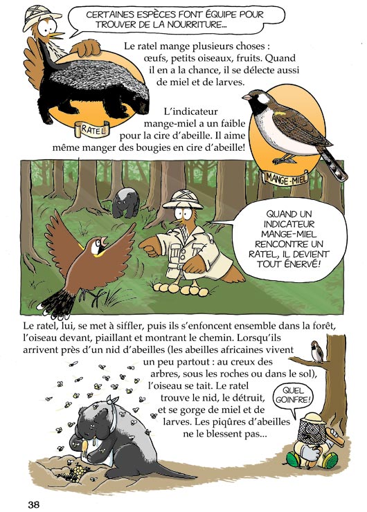 Pas bête du tout! Page 38