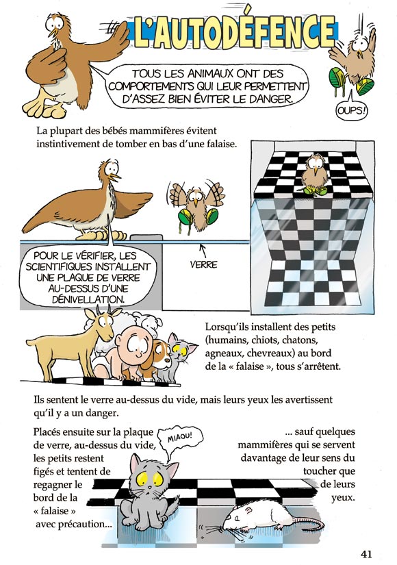 Pas bête du tout! Page 41