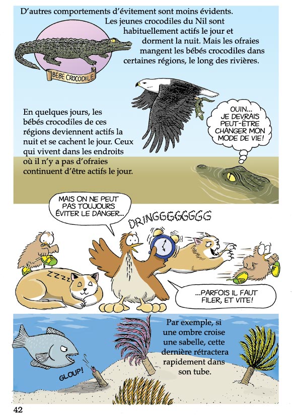 Pas bête du tout! Page 42