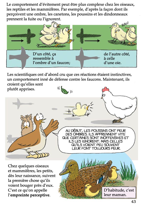 Pas bête du tout! Page 43