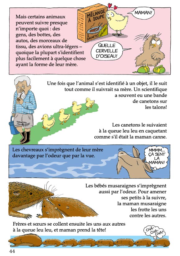Pas bête du tout! Page 44