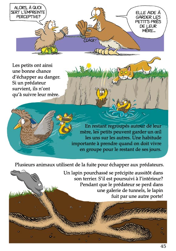 Pas bête du tout! Page 45