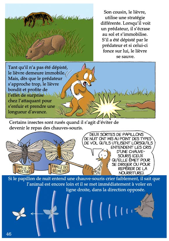 Pas bête du tout! Page 46