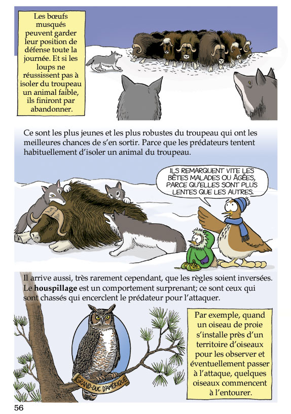 Pas bête du tout! Page 56