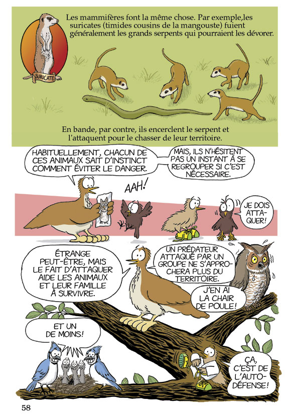 Pas bête du tout! Page 58