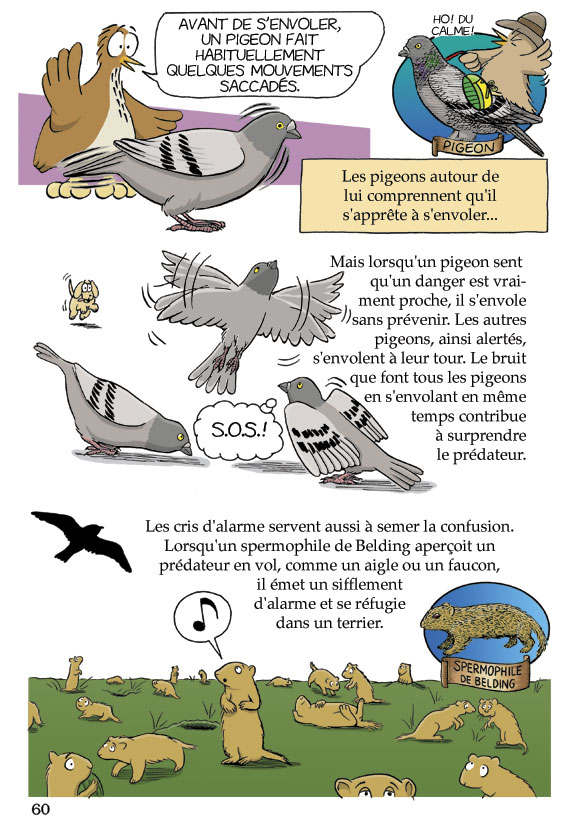 Pas bête du tout! Page 60