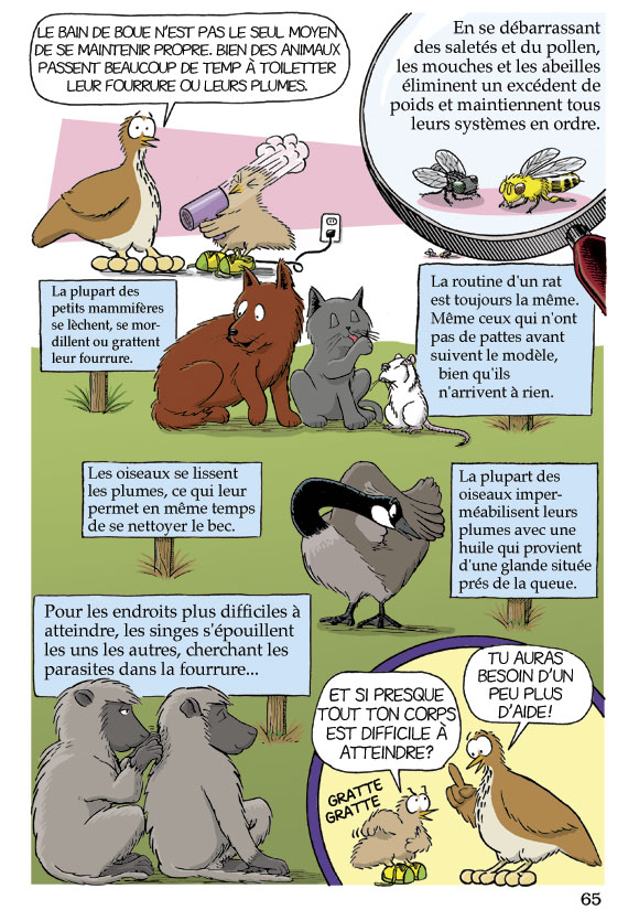 Pas bête du tout! Page 65