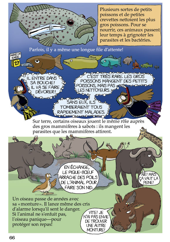 Pas bête du tout! Page 66