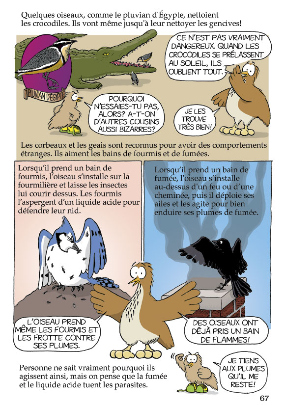 Pas bête du tout! Page 67