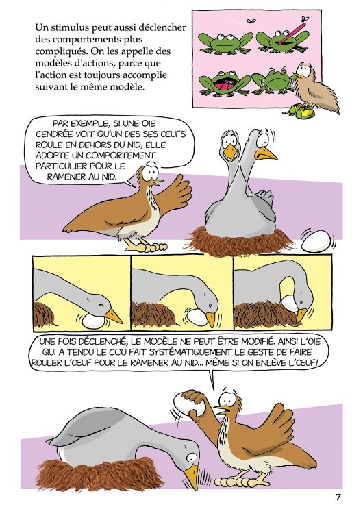 Pas bête du tout! Page 7