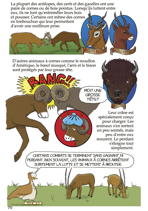 Pas bête du tout! Page 70