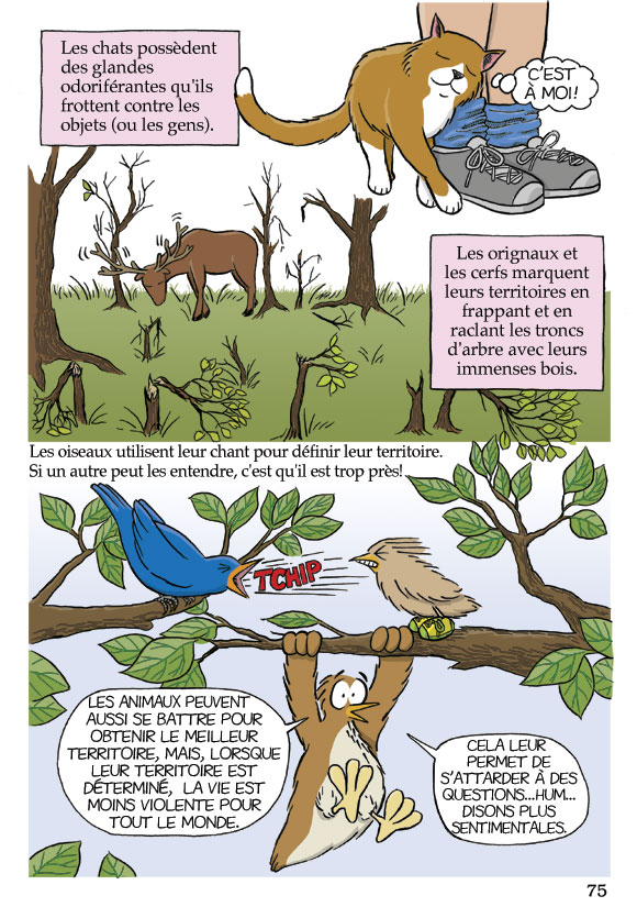Pas bête du tout! Page 75
