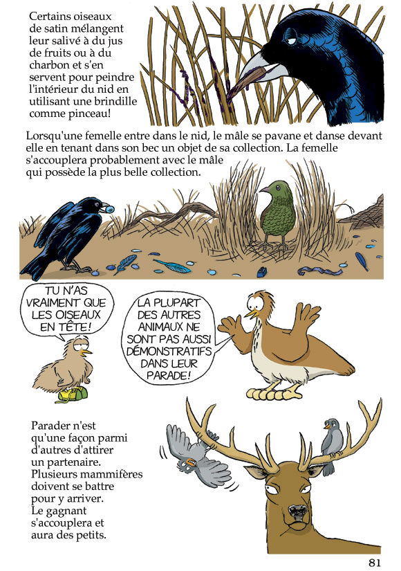 Pas bête du tout! Page 81