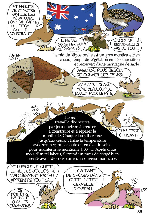Pas bête du tout! Page 85