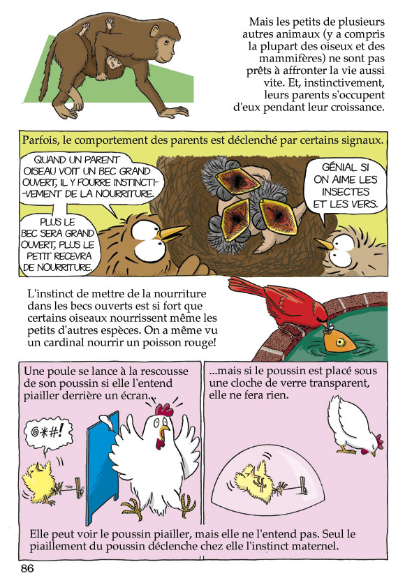 Pas bête du tout! Page 86