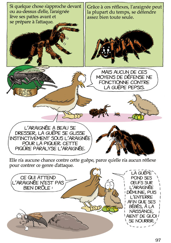 Pas bête du tout! Page 97
