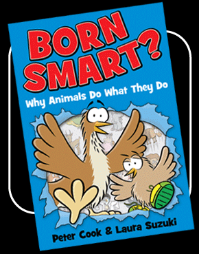 Born Smart?